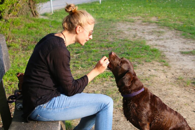 Why Choose Healthy Hound Playground for Your Dog’s Grooming Needs?