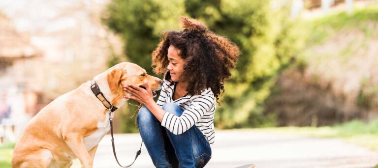 Healthy Hound Playground Dog Day Care Guide